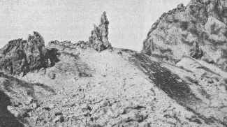 Wildes Männle
