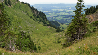 Guntenalpe