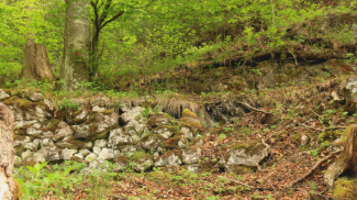 Wegtrasse bei Weißhaus nahe dem Kratzerweg