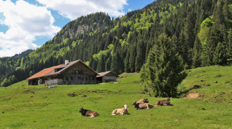 Vordere Aualpe