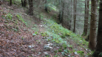 knappenweg bergbaugebiet klemmtal pflach