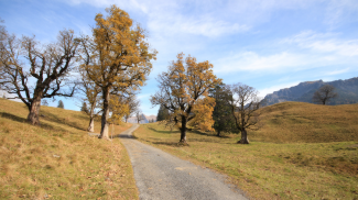 am Unterschwarzenberg