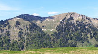 sedererstuiben stuiben