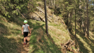 Anstieg zum Baichlstein