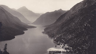 plansee forelle thaneller tauern