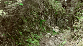 frauensee lechaschau erzberg hohlweg gasse