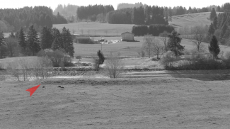 auffällige Geländestruktur auf der Halbinsel zwischen Illasberg- und Forggensee
