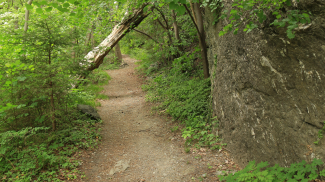 Via Claudia Augusta zwischen Zams und Anreit