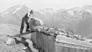 almajurjoch bergmahd bergbauer heu heustadel riffler