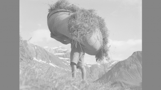 Bergbauern- und Bauerntum