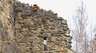 Mauerwerk Ruine Laubenbergstein