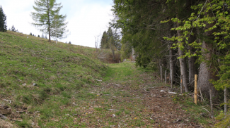 salzstraße oberjoch schattwald