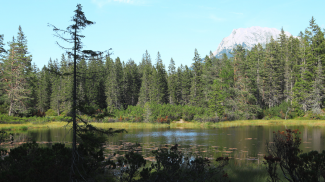 Hochmoor