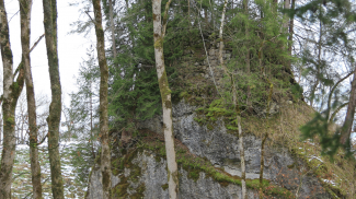 burgfelsen baltenstein