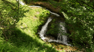 Wildbachtobel