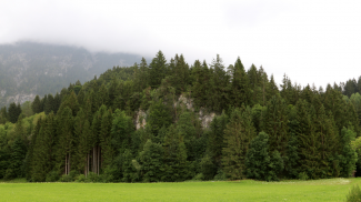 hoargenstein reutte götzenbild heidentum