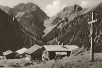 Pfafflar