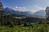 Urisee