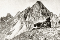 Gimpel u. Köllespitz