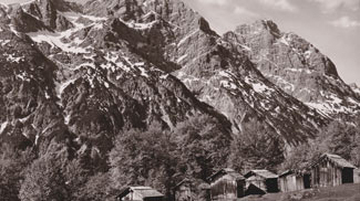 Stall - Vorderhornbach