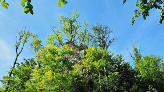 ruine  fluhenstein  sonthofen
