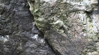 felsritzungen  felszeichnungen  petroglyphen