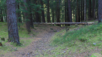 goldbichl  altweg  bronzezeit