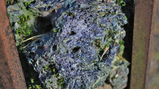 goldbichl  ausgebrannter stein  opferaltar