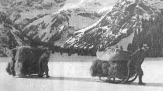 Vilsalpsee Heuzug
