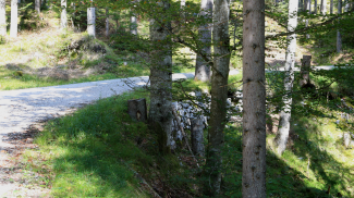 hirnstraße hirnstrasse holzbringungsweg klausenwald