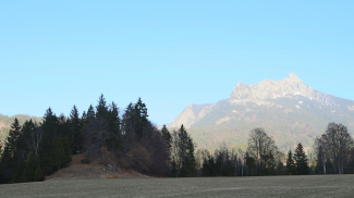 bruder ulrich erdbeerbichl erdbeerbühel