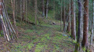 trasse heerstrasse katzenberg