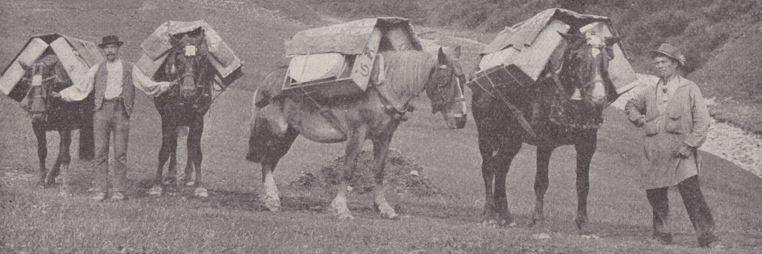 Säumer - Foto: Heimhuber (ca. 1900)