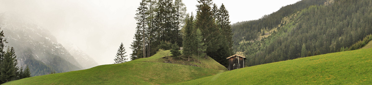 burgstall seesumpf bach dingstatt dingstuhl