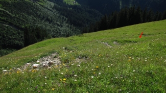 erosionsfläche