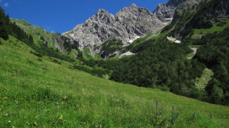 traumhaftes tal