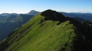 gipfelrücken