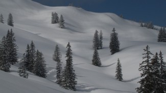 wintertraum