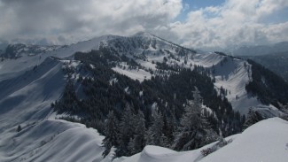 riedberger horn