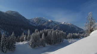 vordere wieslealpe