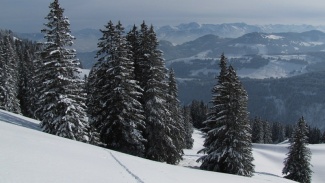 buralpkopf