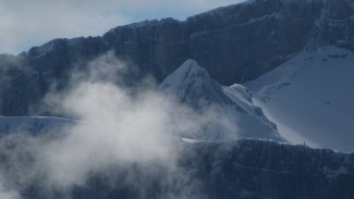 torkopf
