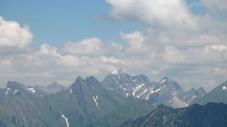 schneck und co
