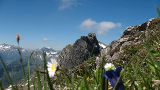 erster schafalpenkopf