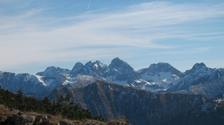 großer krottenkopf