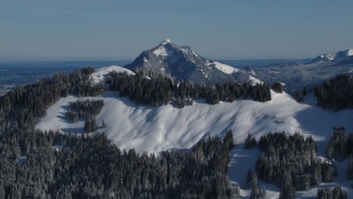 rangiswanger horn