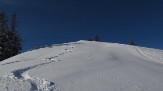 gipfelschwünge