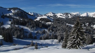 winter-traumlandschaft