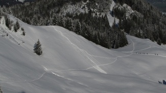 gipfelschwünge