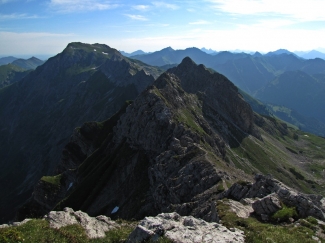 westlicher wengenkopf